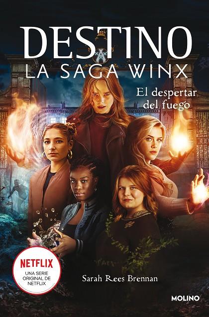 Destino La saga Winx 2  El despertar del fuego | 9788427277977 | Brennan, Sarah Rees