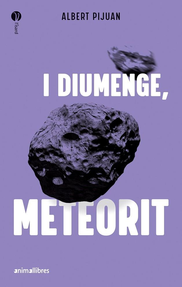 I diumenge, meteorit | 9788419659415 | Pijuan, Albert