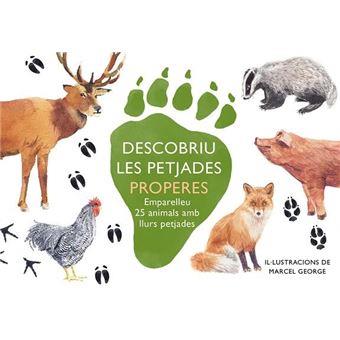 Descobriu les petjades properes (Joc de memòria) | 8425402888735