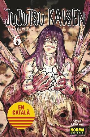 Jujutsu Kaisen 06 (Català) | 9788467957600 | GEGE AKUTAMI