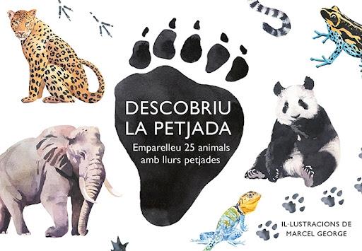 Descobriu la petjada | 8425402405857