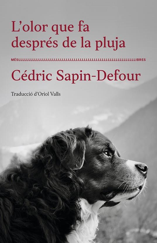 Olor que fa després de la pluja, l' | 9788417353568 | Sapin-defour, Cedric