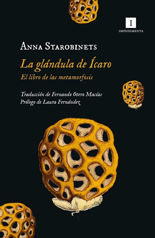 Glándula de Ícaro, la | 9788419581020 | Starobinets, Anna