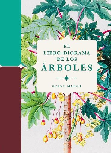 Libro-diorama de los árboles, el | 9788412386196 | Marsh, Steve