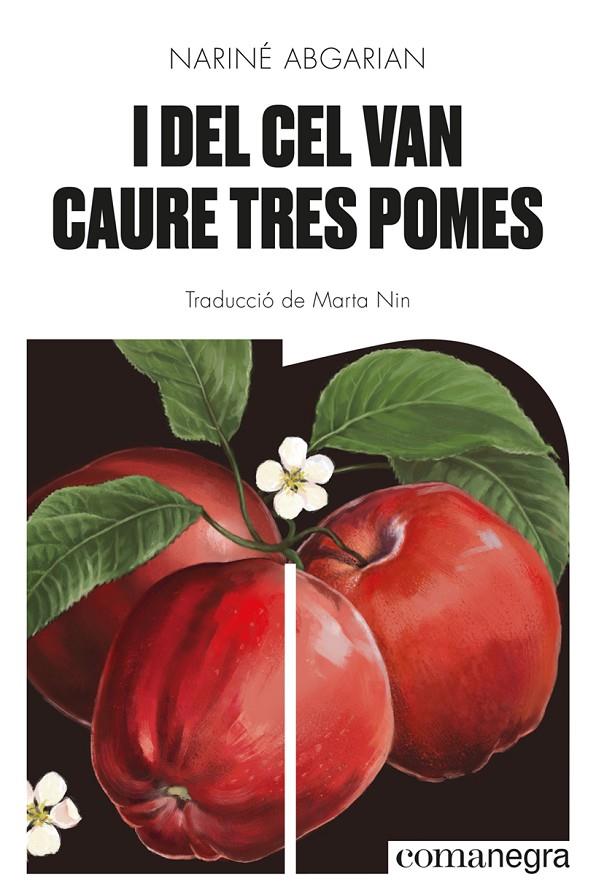 I del cel van caure tres pomes | 9788418857041 | Abgarian, Nariné