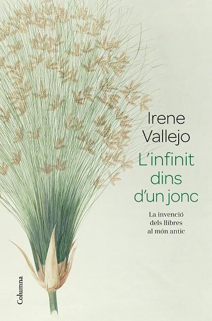 Infinit dins d'un jonc, l' | 9788466426947 | Vallejo, Irene