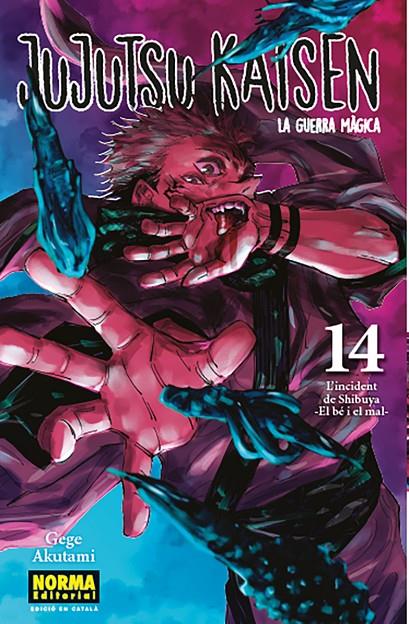 JUJUTSU KAISEN 14 CATALA | 9788467957686 | AKUTAMI, GEGE