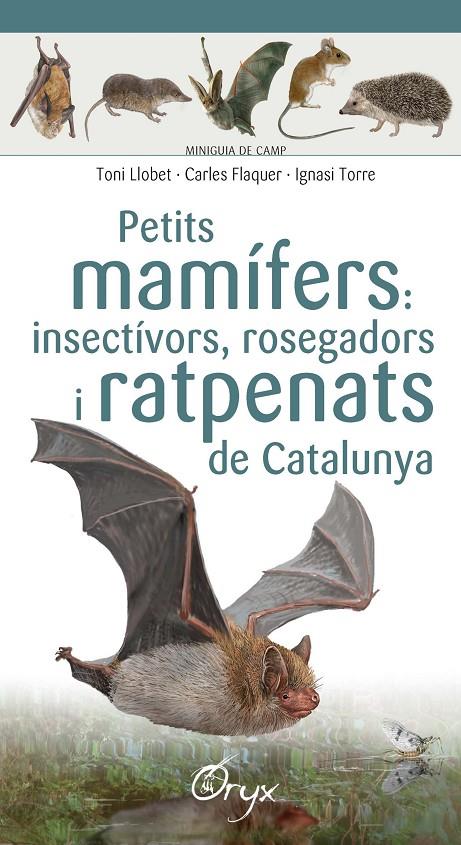 Petits mamífers: insectívors, rosegadors i ratpenats de Catalunya | 9788490348956 | Flaquer, Carles / Torre, Ignasi / Llobet François, Toni