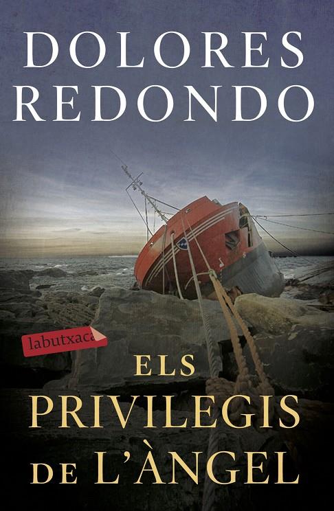 Privilegis de l'àngel, els | 9788417423971 | Redondo, Dolores