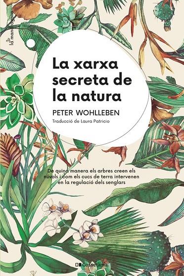 Xarxa secreta de la natura, la | 9788413562872 | Wohlleben, Peter